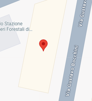 planimetria QUADRILOCALE IN VENDITA ALL'ASTA IN VIA GUSTAVO BOCCHINI, S. GIORGIO DEL SANNIO (BN) - 1