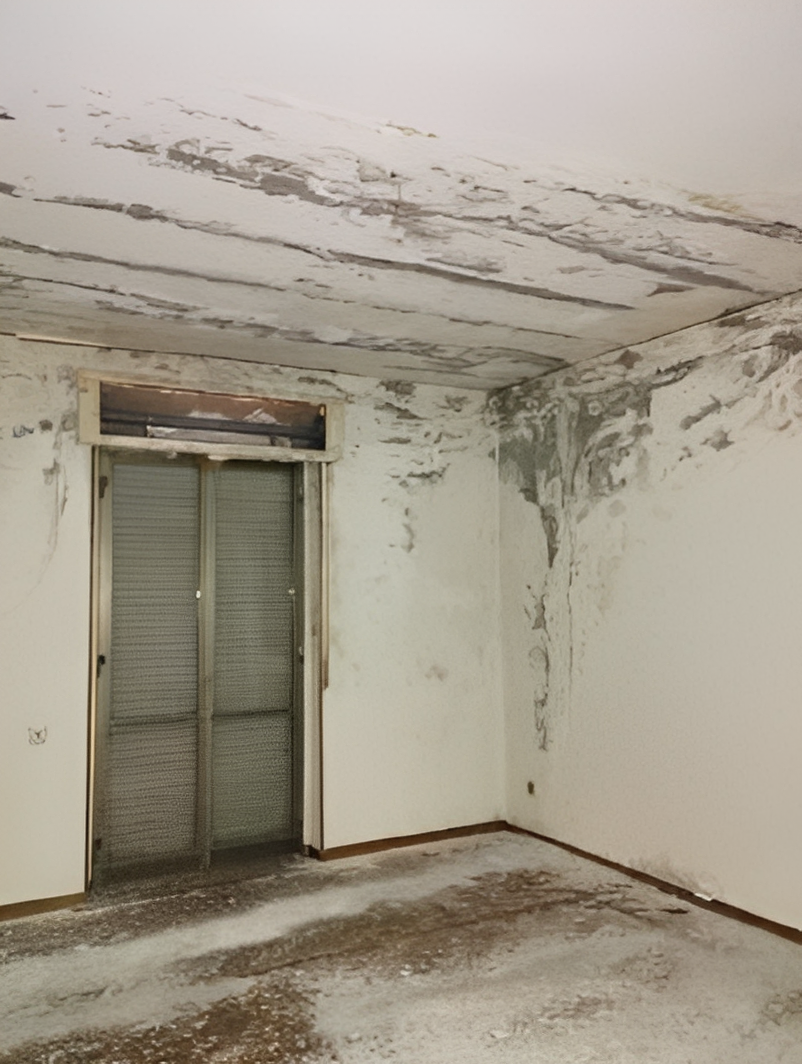 immobile ABITAZIONE IN VENDITA ALL'ASTA IN VIA ROCCO SCOTELLARO, LAURIA (PZ) - 3