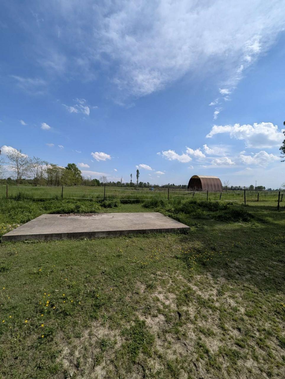 immobile Cascina rurale con scuderie e terreno all'asta a Momo - 5