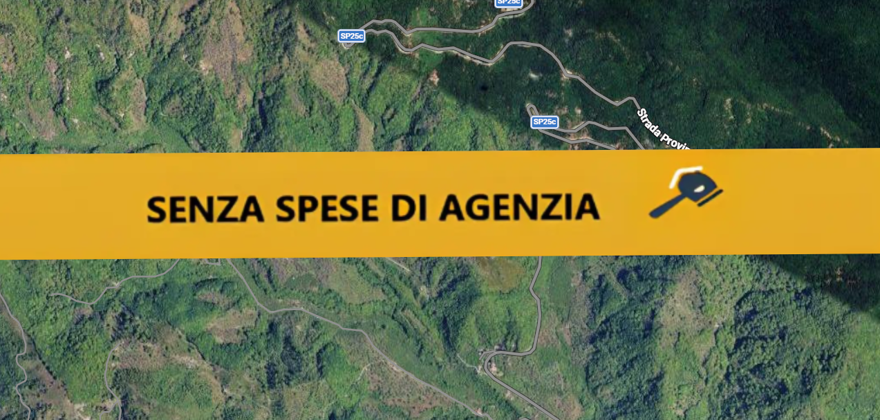 immobile Terreno agricolo esteso con castagneto all'asta a Giffoni Valle Piana - 1