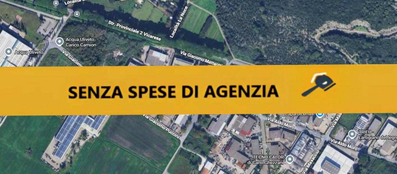 immobile Capannone industriale con ampio resede esclusivo all'asta a Vicopisano - 1