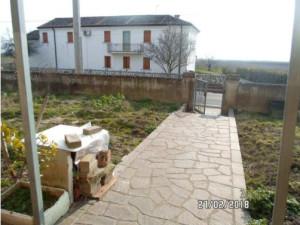 immobile CASA A DUE PIANI CON GIARDINO ALL'ASTA IN VIA RIVIERA, FRAZ.RUNZI, BAGNOLO DI PO (RO) - 3