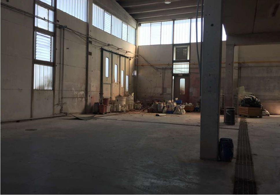 immobile LABORATORIO CON SOPPALCO ALL'ASTA IN VIA MALPIGHI, FAENZA (RA) - 3
