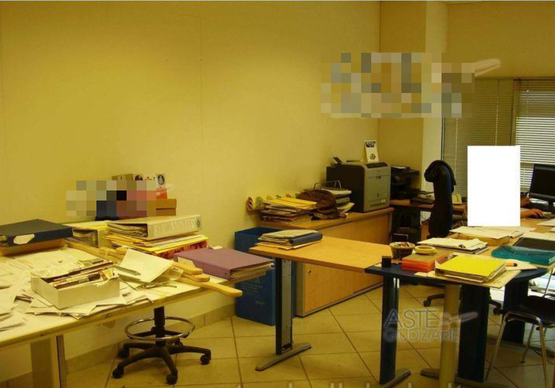 immobile CAPANNONE CON TERRENI EDIFICABILI E AGRICOLI ALL'ASTA IN VIA PIEGGIA, MONDAINO (RN) - 4