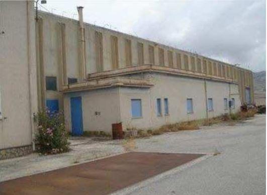 immobile COMPLESSO INDUSTRIALE CON UFFICI E CAPANNONE ALL'ASTA IN C.DA PIANOTTA, CIMINNA (PA) - 4