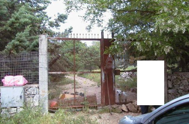 immobile DUE CASE INDIPENDENTI ALL'ASTA IN CONTRADA GURLAMANNA, ALTAMURA (BA) - 4