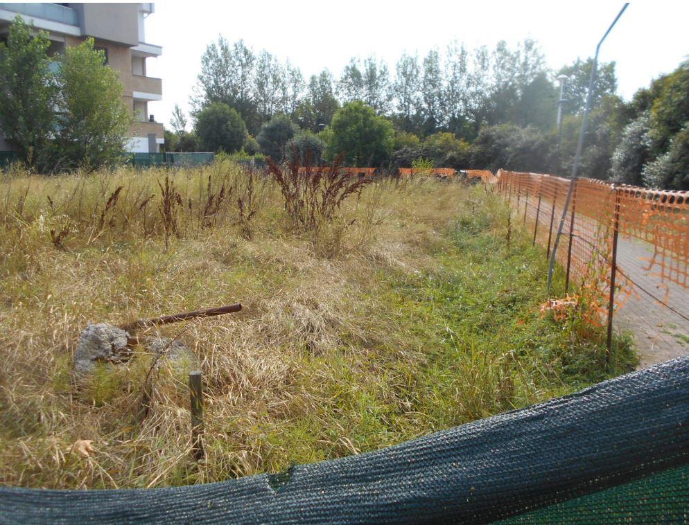 immobile TERRENO - AREA URBANA ALL'ASTA IN VIA DON DANTE SALA, CARPI (MO) - 4