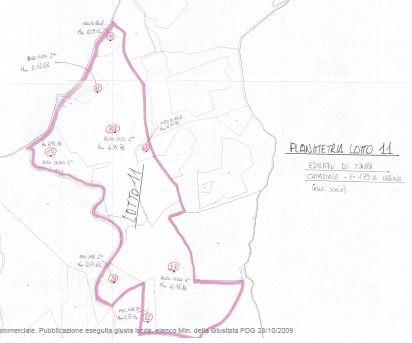 planimetria TERRENO AGRICOLO ALL'ASTA IN VIA PALAZZO DEL PIANO, LA TORRE, URBINO (PU). - 1