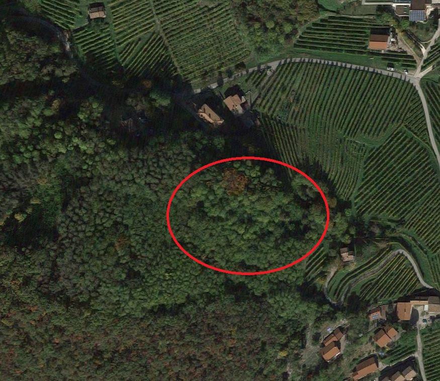 immobile TERRENO BISCHIVO ALL'ASTA IN VIA PERINE, VALDOBBIADENE (TV) - 1