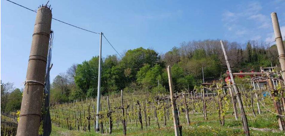 immobile TERRENO BISCHIVO ALL'ASTA IN VIA PERINE, VALDOBBIADENE (TV) - 4