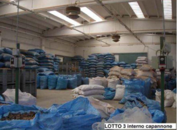 immobile COMPLESSO INDUSTRIALE ALL'ASTA IN ZONA INDUSTRIALE, TEMPIO PAUSANIA (SS) - 1