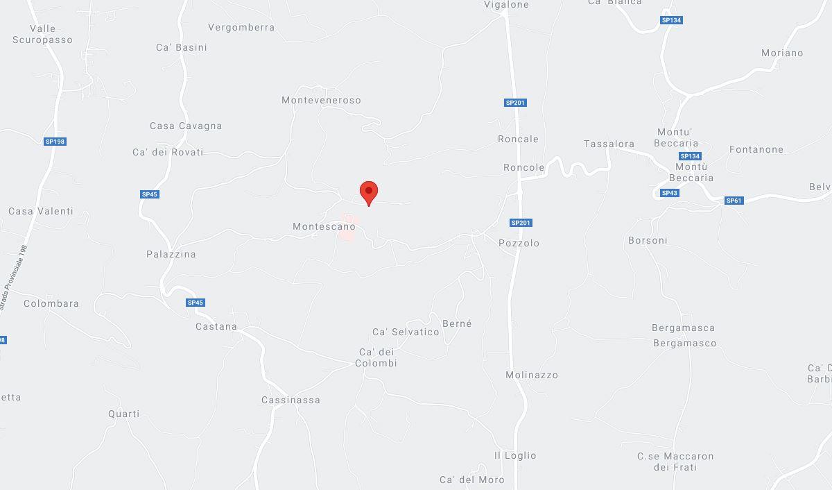 planimetria BILOCALE CON CANTINA E POSTO AUTO ALL'ASTA IN VIA POGGIO, MONTESCANO (PV) - 1