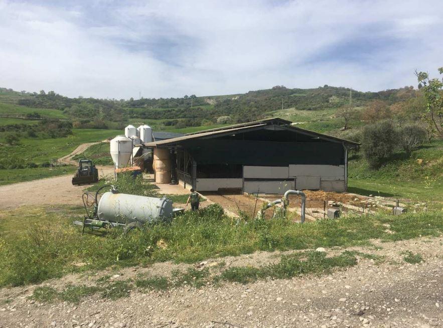 immobile COMPENDIO AGRICOLO ALL'ASTA IN CONTRADA PARATA, GARAGUSO (MT) - 3