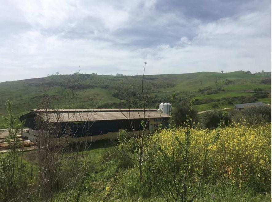 immobile COMPENDIO AGRICOLO ALL'ASTA IN CONTRADA PARATA, GARAGUSO (MT) - 5