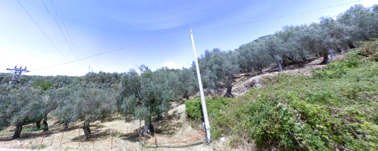 immobile TERRENO AGRICOLA ALL'ASTA IN VIA DEGLI ULIVI, OLEVANO SUL TUSCIANO (SA) - 1
