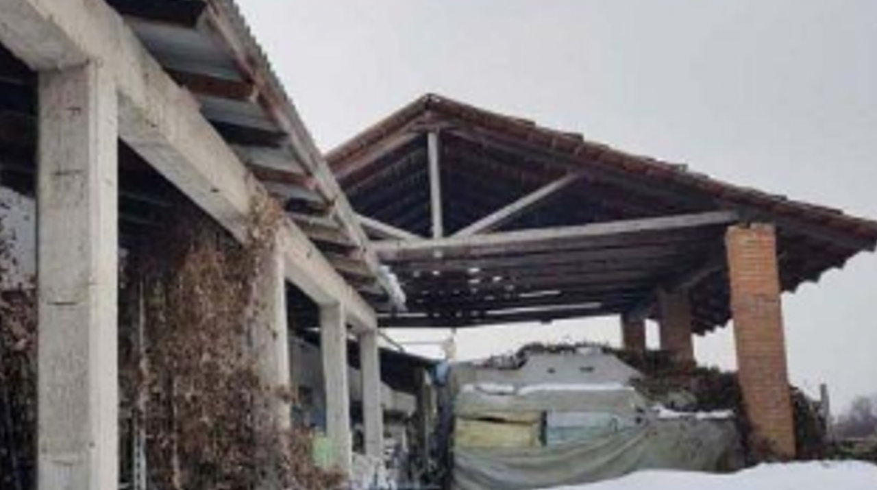 immobile MAGAZZINO CON AREA ESTERNA ALL'ASTA IN FRAZIONE MARZANOTTO, ASTI (AT) - 4