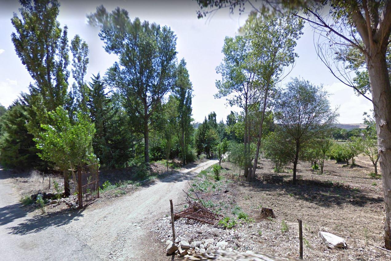 immobile TERRENI AGRICOLI ALL'ASTA IN CONTRADA LI VAGNI, VOLTURARA APPULA (FG) - 4