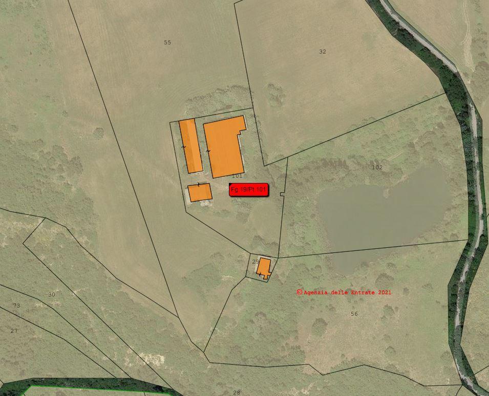 planimetria TERRENI AGRICOLI ALL'ASTA IN CONTRADA LI VAGNI, VOLTURARA APPULA (FG) - 1