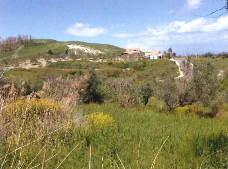 immobile TERRENO ALL'ASTA IN LOCALITÀ PETRUSO, SANTA CATERINA DELLO IONIO (CZ) - 1