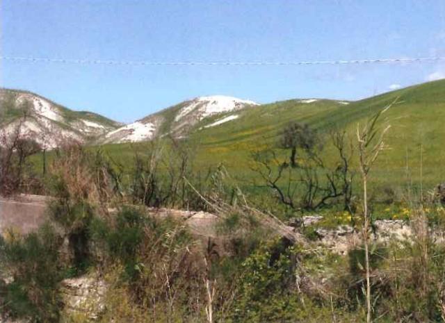 immobile TERRENO ALL'ASTA IN LOCALITÀ PONZO, SANTA CATERINA DELLO IONIO (CZ) - 2