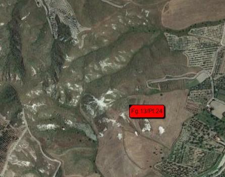 planimetria TERRENO ALL'ASTA IN LOCALITÀ PONZO, SANTA CATERINA DELLO IONIO (CZ) - 1