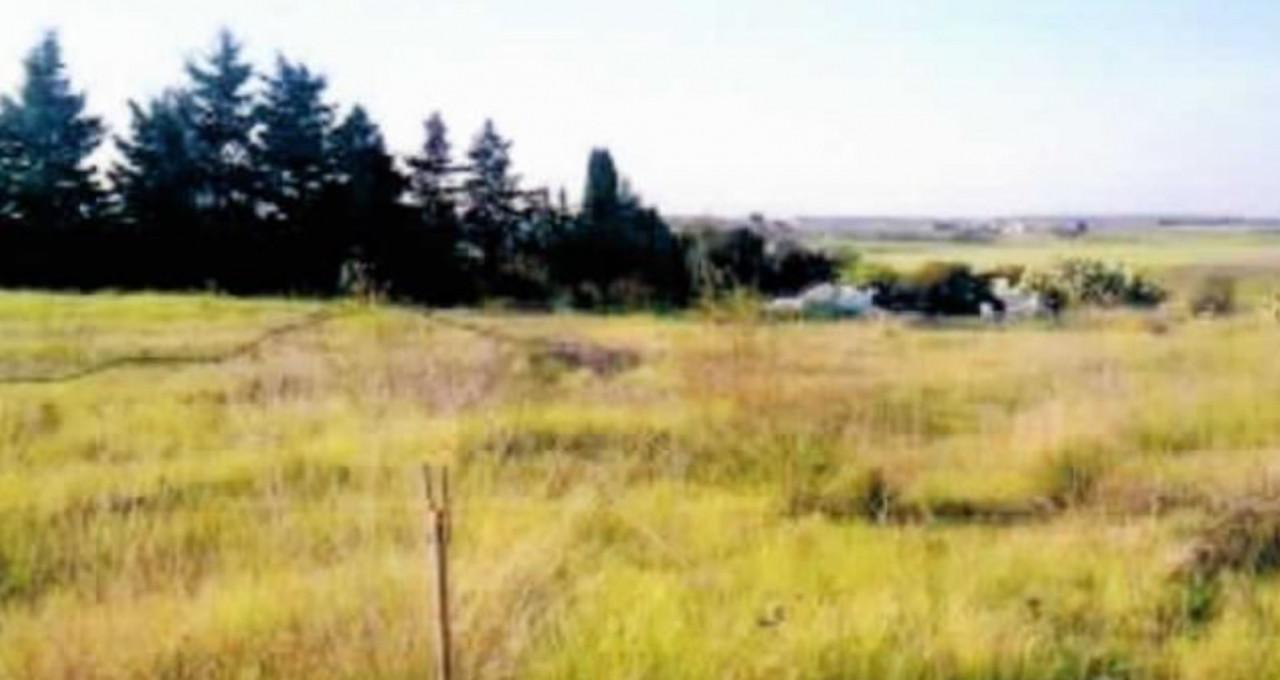 immobile DEPOSITO SU DUE LIVELLI CON TERRENO ALL'ASTA IN LOC. ANDRIACE, SCANZANO JONICO (MT) - 1