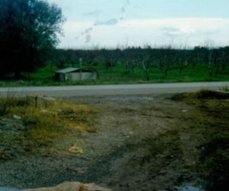 immobile DEPOSITO SU DUE LIVELLI CON TERRENO ALL'ASTA IN LOC. ANDRIACE, SCANZANO JONICO (MT) - 2