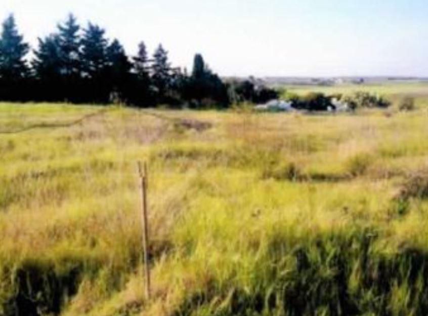 immobile DEPOSITO SU DUE LIVELLI CON TERRENO ALL'ASTA IN LOC. ANDRIACE, SCANZANO JONICO (MT) - 3