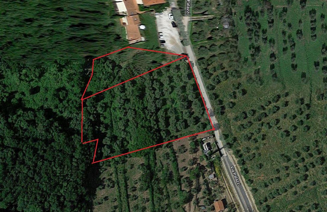 immobile TERRENO BOSCHIVO E ULIVETO ALL'ASTA IN VIA DEI PALAZZI, SERRAVALLE PISTOIESE (PT) - 2