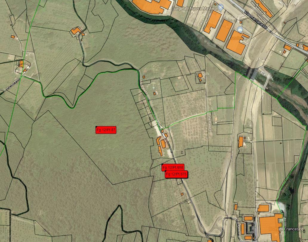 planimetria TERRENO BOSCHIVO E ULIVETO ALL'ASTA IN VIA DEI PALAZZI, SERRAVALLE PISTOIESE (PT) - 1