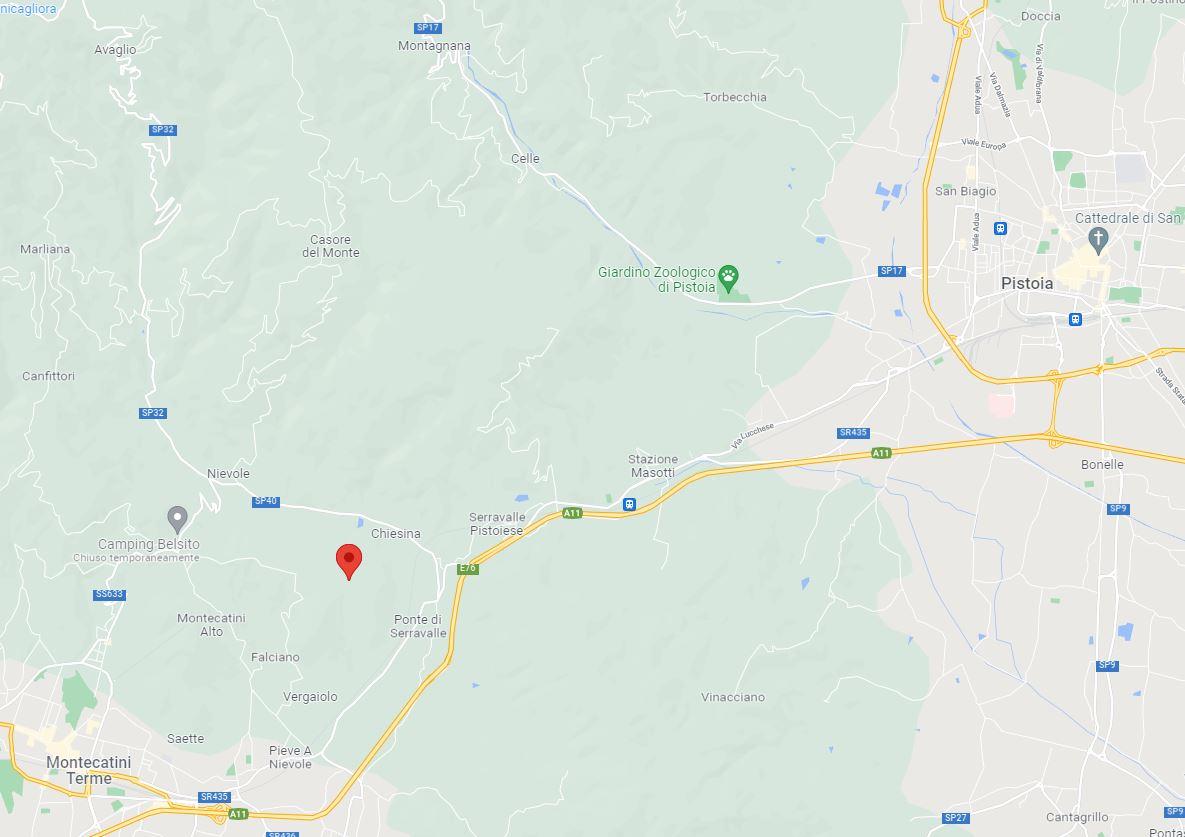 immobile TERRENO BOSCHIVO ALL'ASTA IN VIA DEI PALAZZI, SERRAVALLE PISTOIESE (PT) - 5