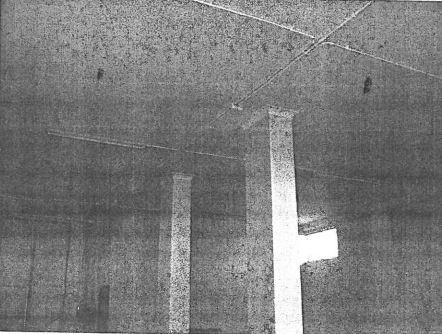 immobile CAPANNONE CON TERRENO ALL'ASTA IN CONTRADA TORRE AMENDOLA, SAN SEVERO (FG) - 3