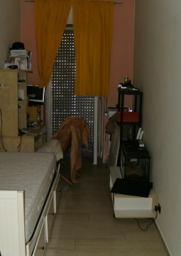 immobile TRILOCALE CON ACCESSORI ALL'ASTA IN VIALE GIUSEPPE VERDI, MERATE (LC) - 2