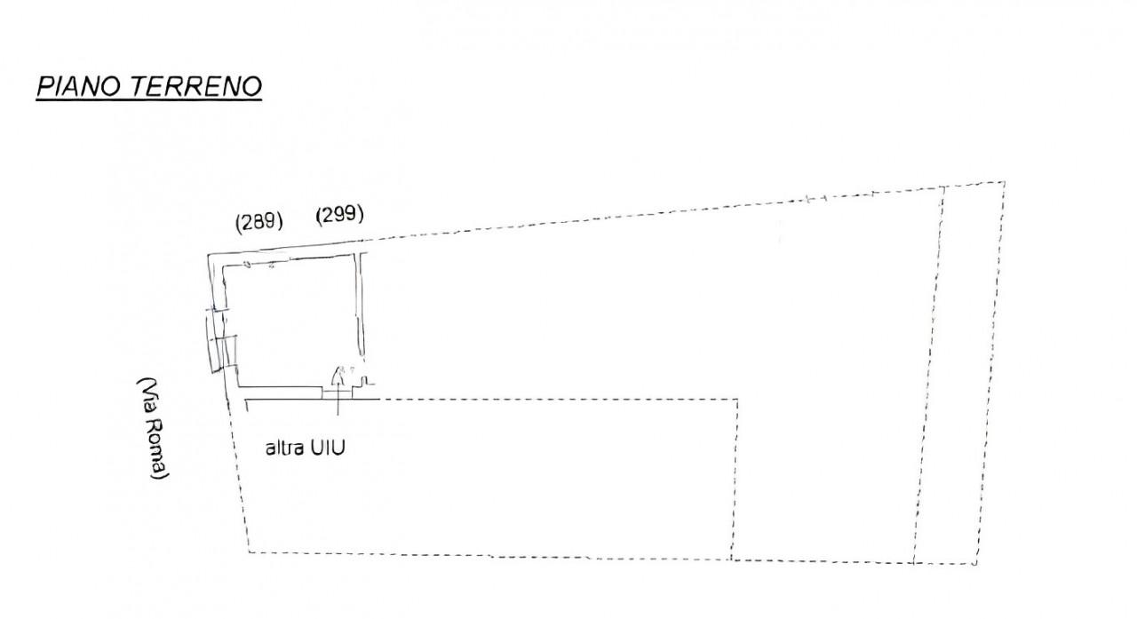 planimetria CASA A SCHIERA ALL'ASTA CON NEGOZIO IN VIA ROMA, VIARIGI (AT) - 1