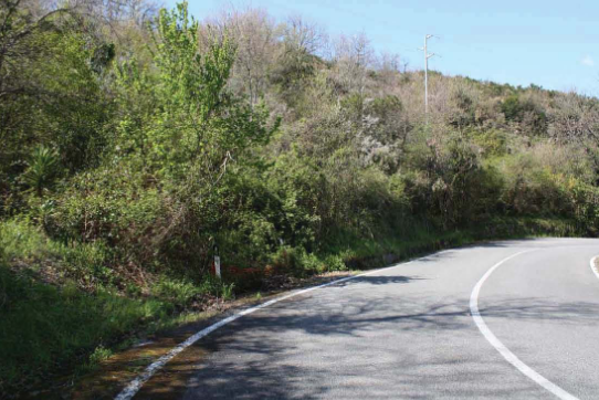 immobile TERRENO ALL'ASTA IN CONTRADA ARIESTE, MAIERA' (CS) - 3