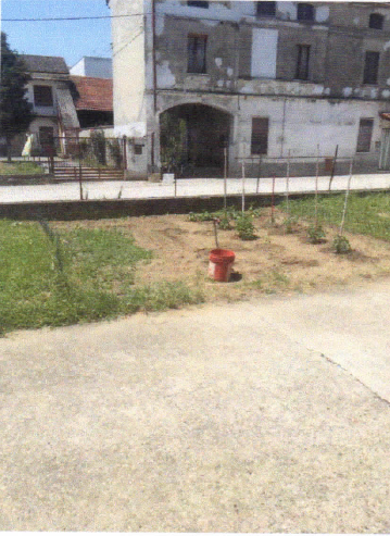 immobile APPARTAMENTO ACCESSORIATO ALL'ASTA IN VIA SOLFERINO A PIEVE SAN GIACOMO (CR) - 3