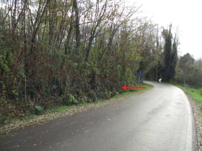 immobile APPEZZAMENTI DI TERRENO ALL'ASTA IN LOCALITA' SUD MONTELLO, VOLPAGO DEL MONTELLO (TV) - 5