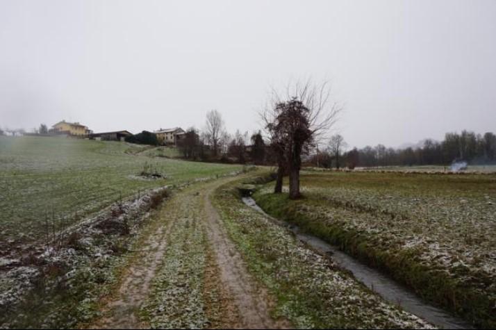 immobile TERRENO CON COMPLESSO RESIDENZIALE ALL'ASTA IN LOCALITA' MASIERI, TRISSINO (VI) - 3