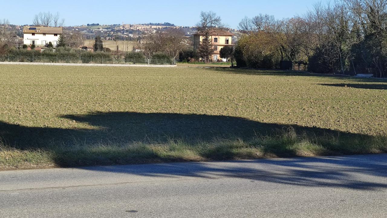immobile APPEZZAMENTO DI TERRENO ALL'ASTA IN LOCALITA' TRODICA, COMUNE DI MORROVALLE (TV) - 2