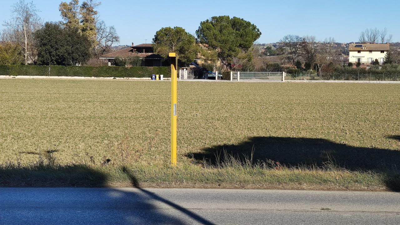 immobile APPEZZAMENTO DI TERRENO ALL'ASTA IN LOCALITA' TRODICA, COMUNE DI MORROVALLE (TV) - 3
