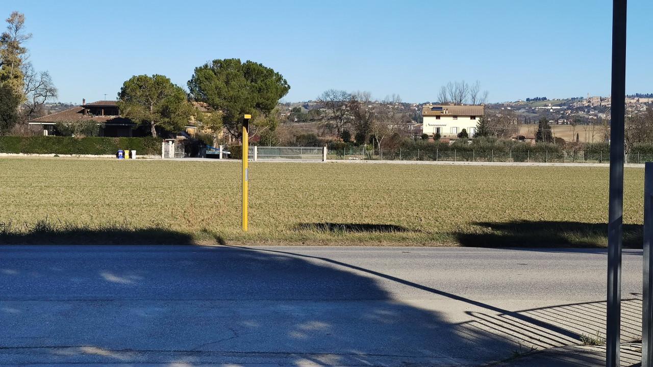 immobile APPEZZAMENTO DI TERRENO ALL'ASTA IN LOCALITA' TRODICA, COMUNE DI MORROVALLE (TV) - 4