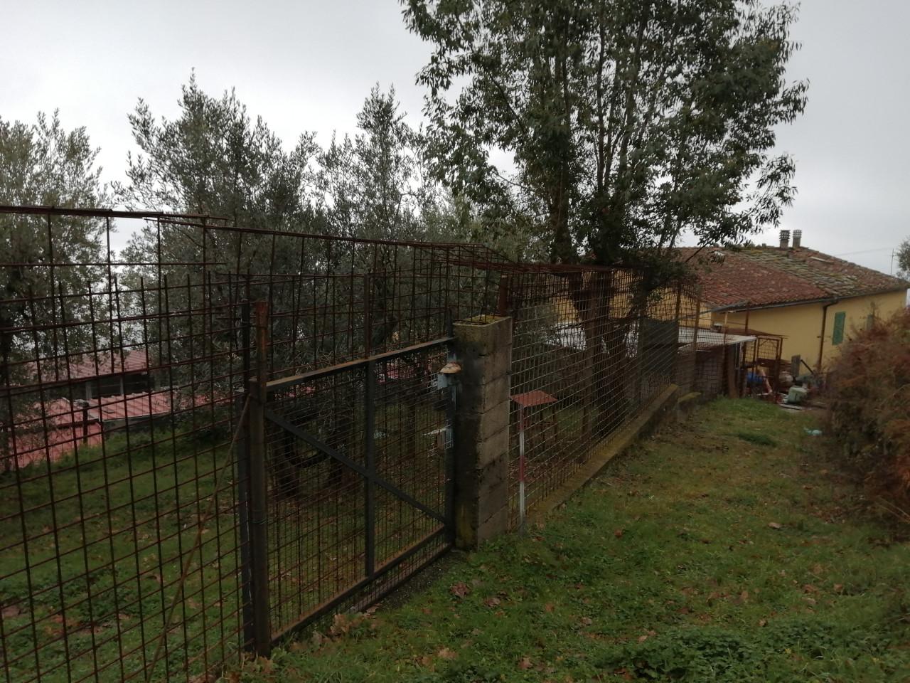 immobile CASA ALL'ASTA CON TERRENO AGRICOLO IN VIA CASTELLINA, SERRAVALLE PISTOIESE (PT) - 4