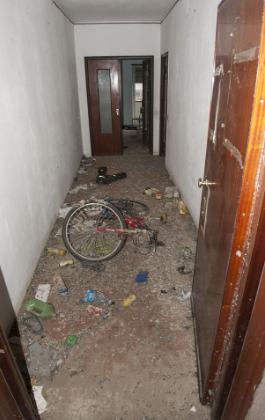 immobile TRILOCALE DA RISTRUTTURARE ALL'ASTA IN VIA DEGLI OLEANDRI, VERDELLINO (BG) - 3