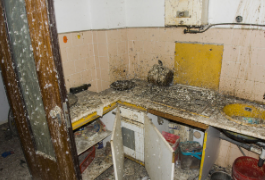 immobile TRILOCALE DA RISTRUTTURARE ALL'ASTA IN VIA DEGLI OLEANDRI, VERDELLINO (BG) - 4