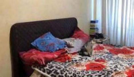 immobile BILOCALE CON ACCESSORI ALL'ASTA IN VIA NAZIONALE, SANT'ANGELO ROMANO (RM) - 3