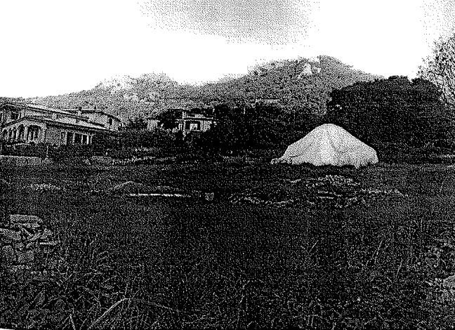 immobile TERRENO ALL'ASTA IN LOCALITA' CIANFURRINU, CALANGIANUS (SS) - 2