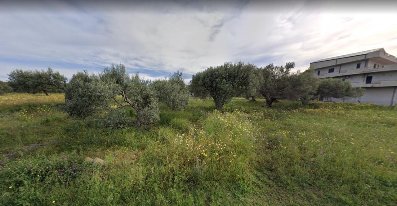 immobile TERRENO ALL'ASTA IN LOCALITÀ LENZI, SIDERNO (RC) - 3