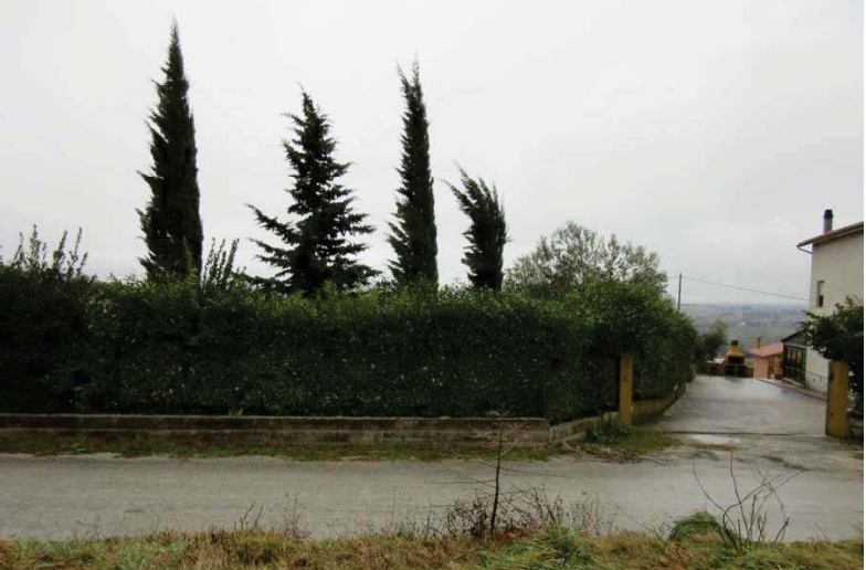 immobile ABITAZIONE, MAGAZZI E TERRENI ALL'ASTA IN LOCALITA' PALAZZO A POGGIO SAN VICINO (MC) - 3
