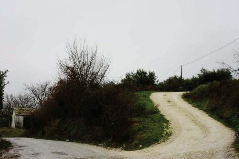 immobile ABITAZIONE, MAGAZZI E TERRENI ALL'ASTA IN LOCALITA' PALAZZO A POGGIO SAN VICINO (MC) - 5