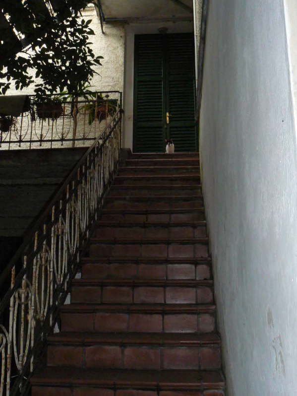 immobile TRILOCALE ALL'ASTA, VIA FRANCESCO PETRARCA A PESCARA (PE) - 4